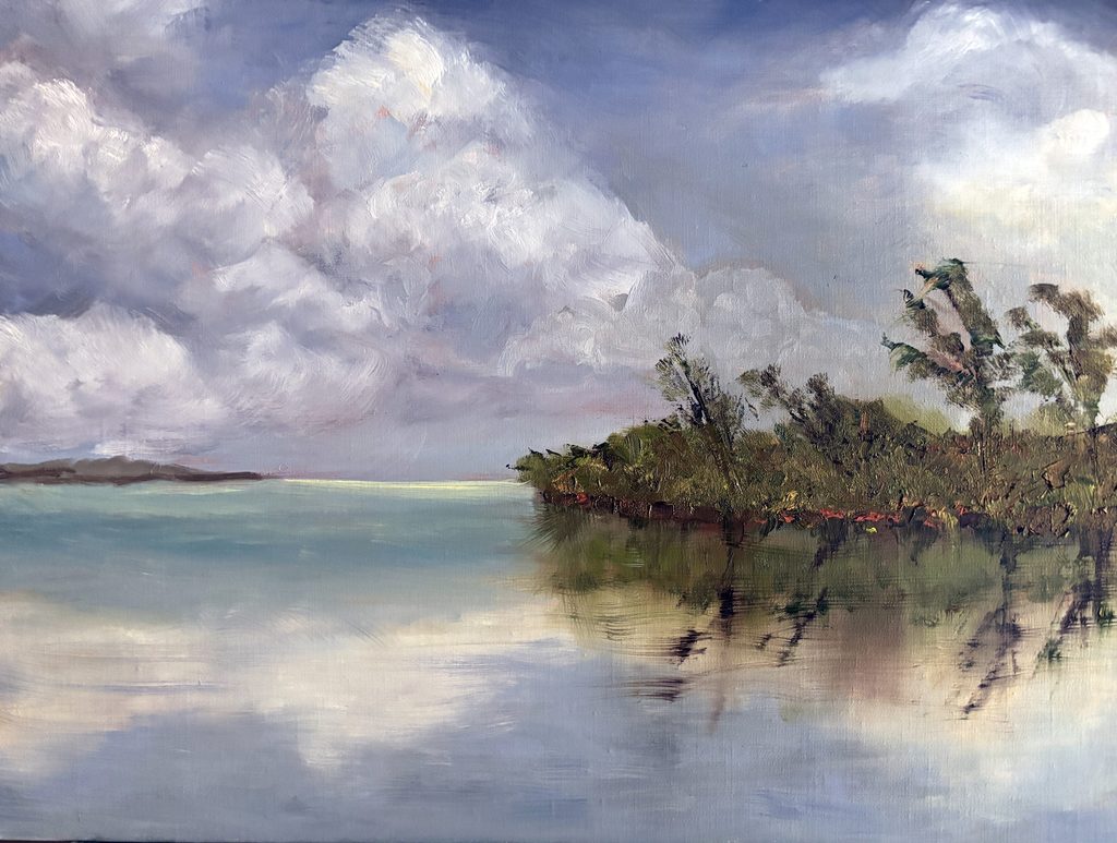 Mangrove Reflection